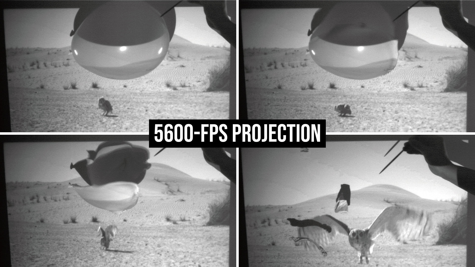 high-frame-rate-projection-with-thousands-of-frames-per-second-based-on